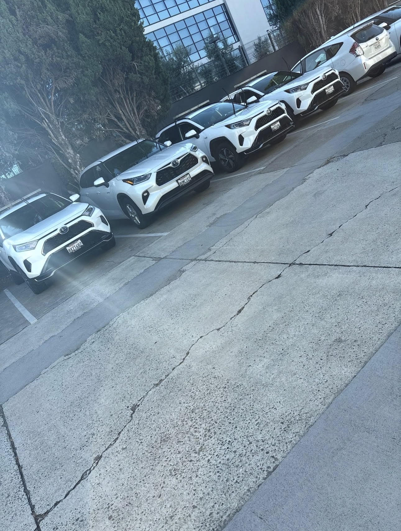 Lineup of Toyota fleet vehicles at a mobile detailing job